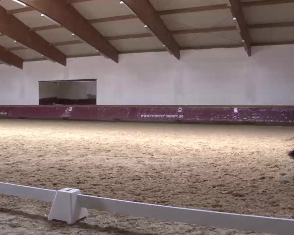 Reitturnier Eicherloh RH Laurent/Obb. 2023