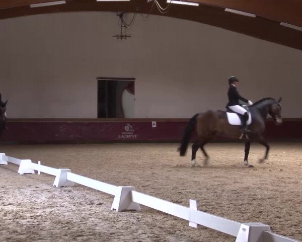 Reitturnier Eicherloh RH Laurent/Obb. 2023