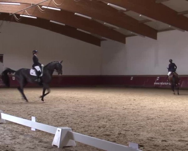 Reitturnier Eicherloh RH Laurent/Obb. 2023