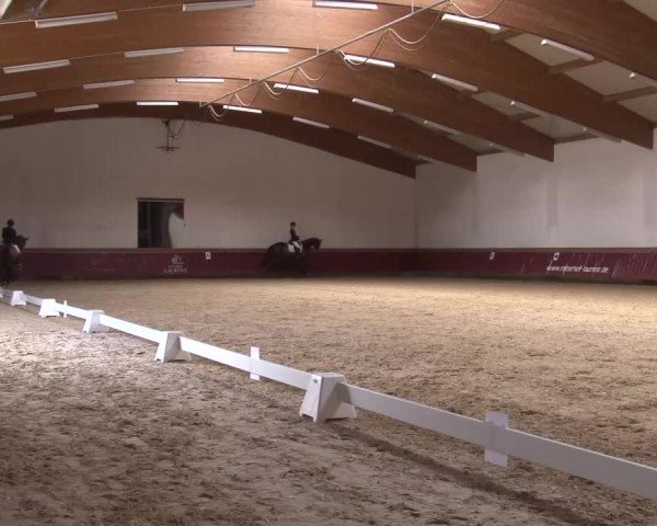 Reitturnier Eicherloh RH Laurent/Obb. 2023