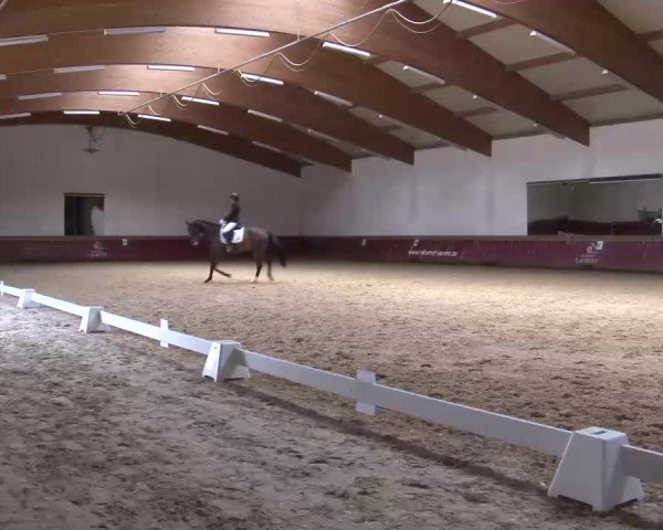 Reitturnier Eicherloh RH Laurent/Obb. 2023