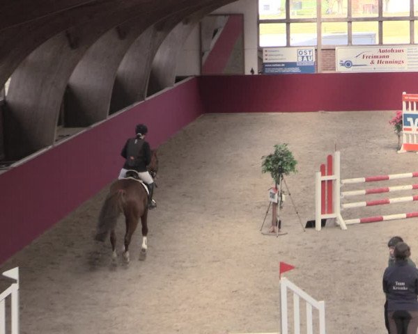 Reitturnier Krumke 2023