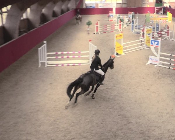 Reitturnier Krumke 2023