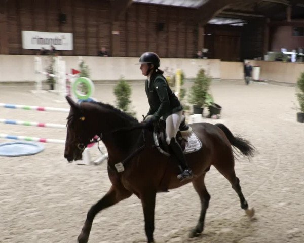 Reitturnier Mannheim-Neckarau 2023