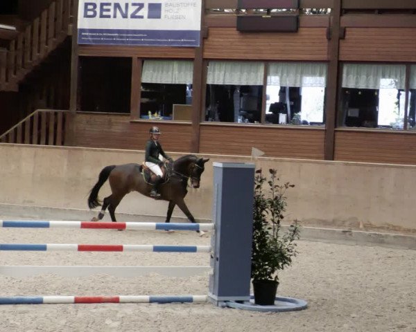 Reitturnier Mannheim-Neckarau 2023