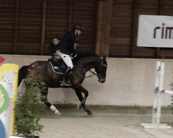 Reitturnier Mannheim-Neckarau 2023