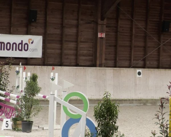 Reitturnier Mannheim-Neckarau 2023