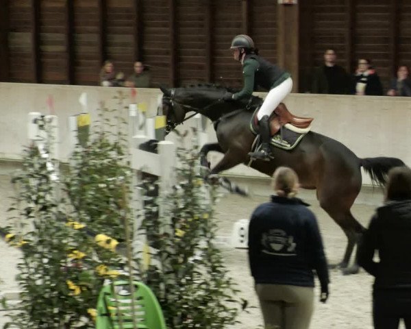 Reitturnier Mannheim-Neckarau 2023