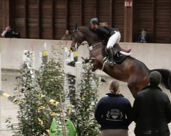 Reitturnier Mannheim-Neckarau 2023