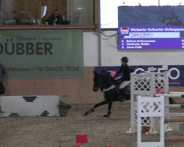 Reitturnier Borgholzhausen-Westbarthausen 2023