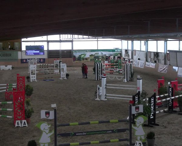 Reitturnier Borgholzhausen-Westbarthausen 2023