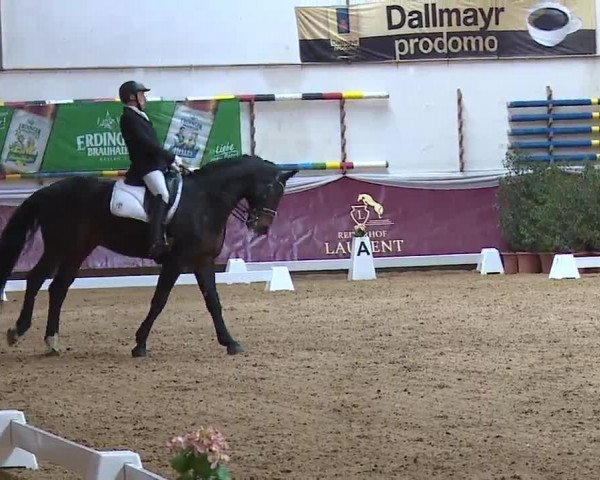 Reitturnier Eicherloh RH Laurent/Obb. 2023