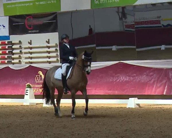 Reitturnier Eicherloh RH Laurent/Obb. 2023
