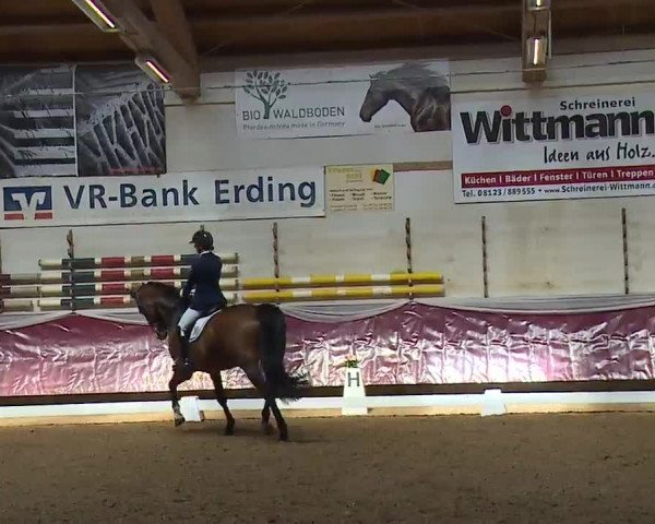 Reitturnier Eicherloh RH Laurent/Obb. 2023