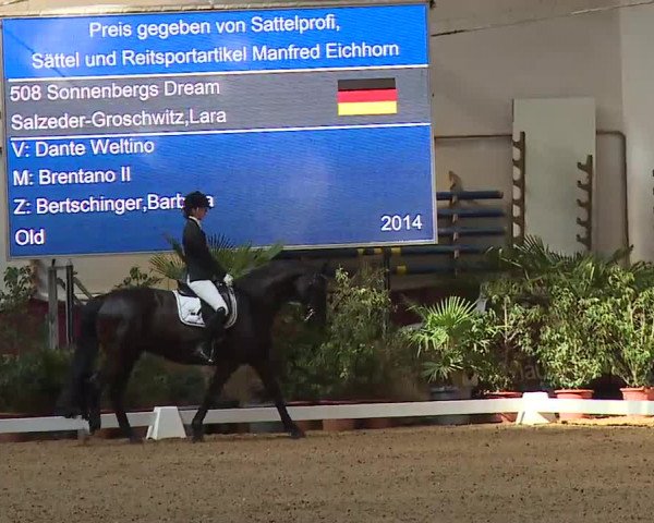 Reitturnier Eicherloh RH Laurent/Obb. 2023