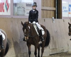 dressage horse Lesley (unknown, 2016)