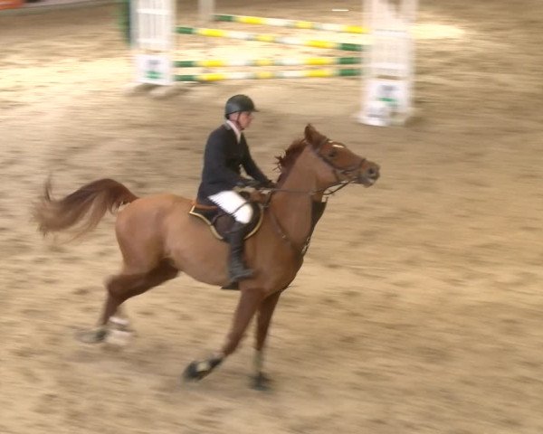 Reitturnier Schaffhausen 2023