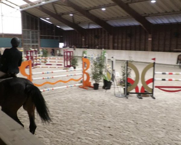 Reitturnier Mannheim-Neckarau 2023