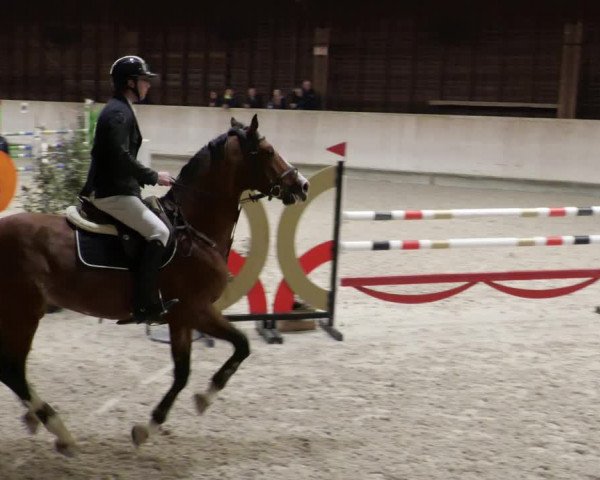 Reitturnier Mannheim-Neckarau 2023