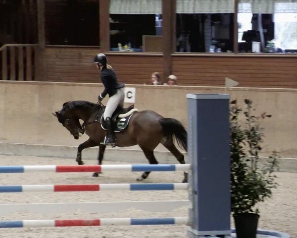 Reitturnier Mannheim-Neckarau 2023