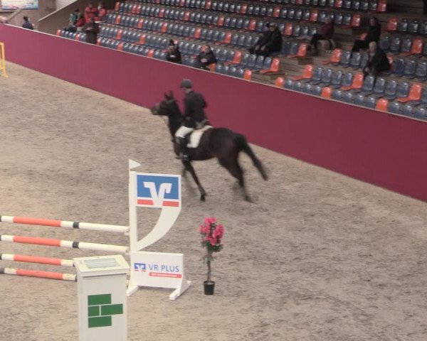 Reitturnier Krumke 2023