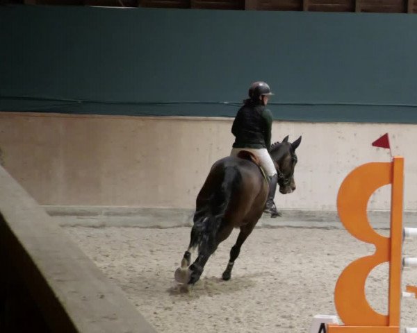 Reitturnier Mannheim-Neckarau 2023