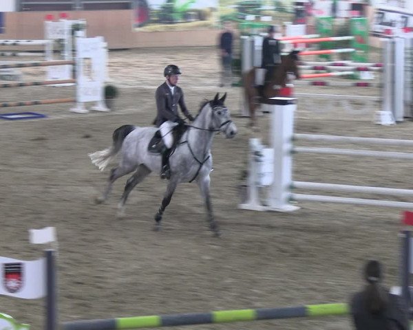 Reitturnier Borgholzhausen-Westbarthausen 2023