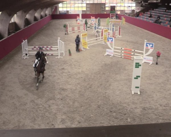 Reitturnier Krumke 2023