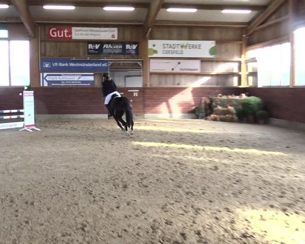 Reitturnier Coesfeld/Lette 2021