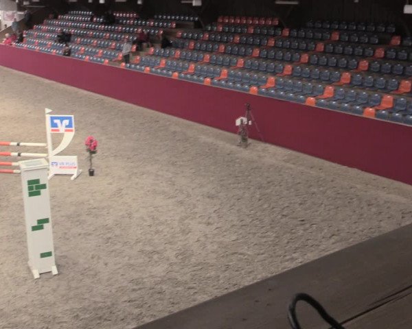 Reitturnier Krumke 2023