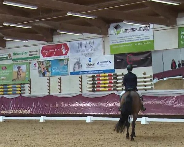 Reitturnier Eicherloh RH Laurent/Obb. 2023