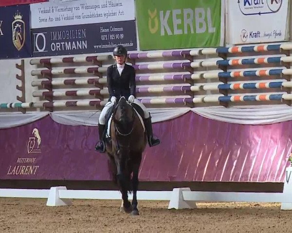Reitturnier Eicherloh RH Laurent/Obb. 2023