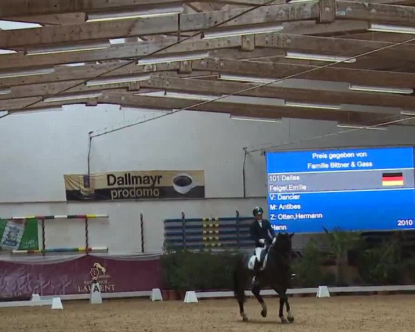 Reitturnier Eicherloh RH Laurent/Obb. 2023
