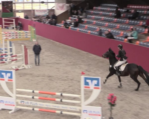 Reitturnier Krumke 2023