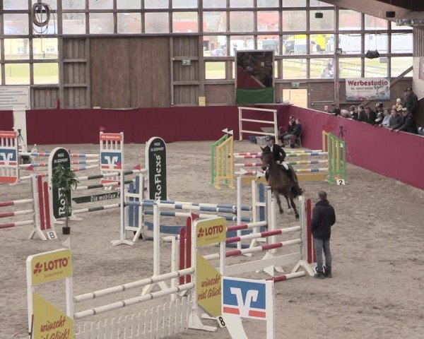 Reitturnier Krumke 2023