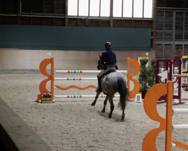 Reitturnier Mannheim-Neckarau 2023