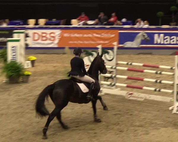 FEI Reitturnier Neumünster (GER) 2021