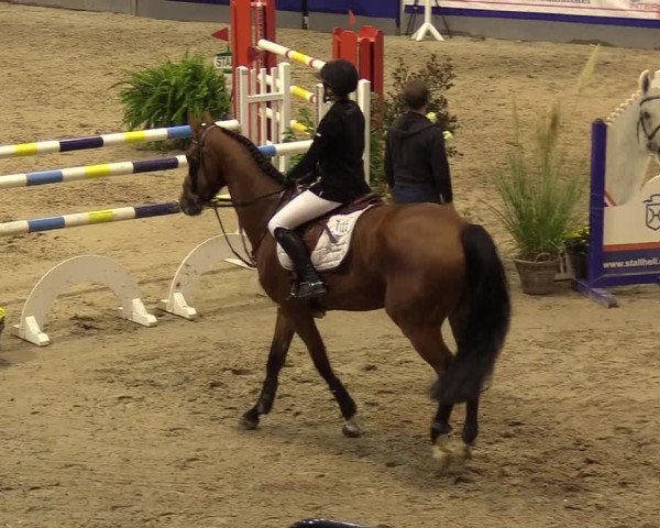 FEI Reitturnier Neumünster (GER) 2021