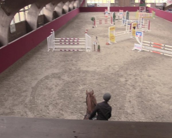Reitturnier Krumke 2023