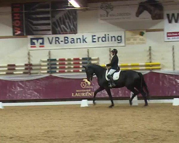 Reitturnier Eicherloh RH Laurent/Obb. 2023