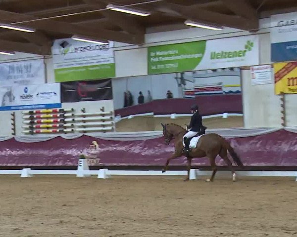 Reitturnier Eicherloh RH Laurent/Obb. 2023