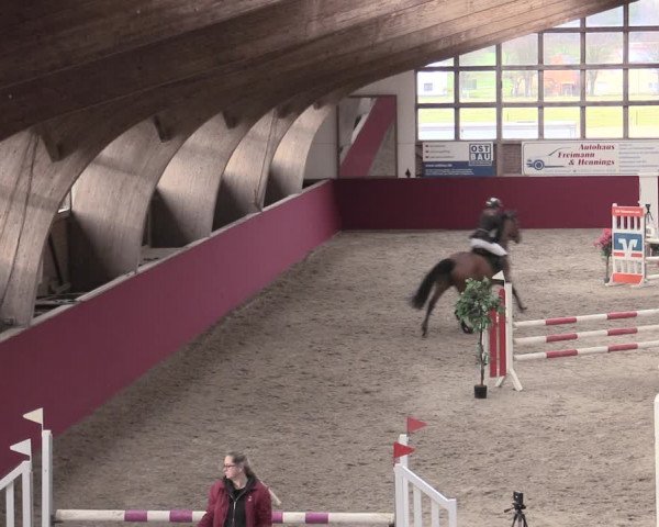 Reitturnier Krumke 2023
