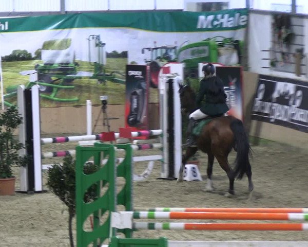 Reitturnier Borgholzhausen-Westbarthausen 2023