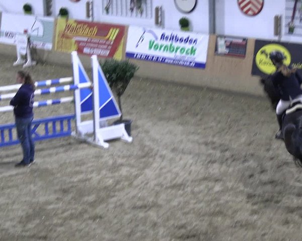 Reitturnier Borgholzhausen-Westbarthausen 2023