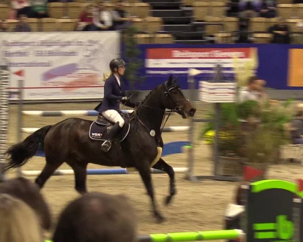 FEI Reitturnier Neumünster (GER) 2021