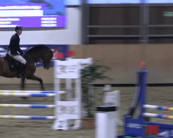 Reitturnier Borgholzhausen-Westbarthausen 2023
