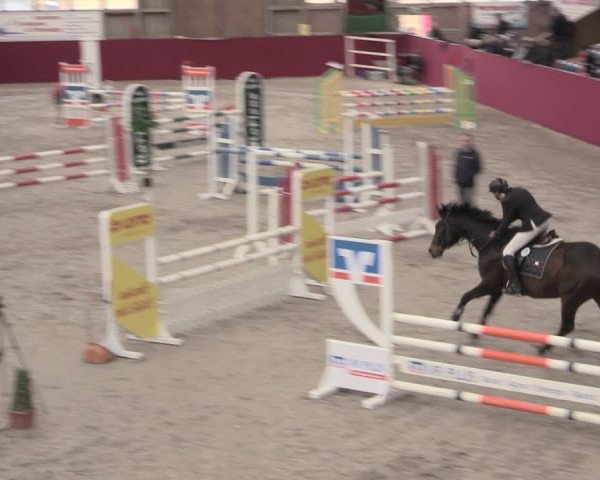 Reitturnier Krumke 2023