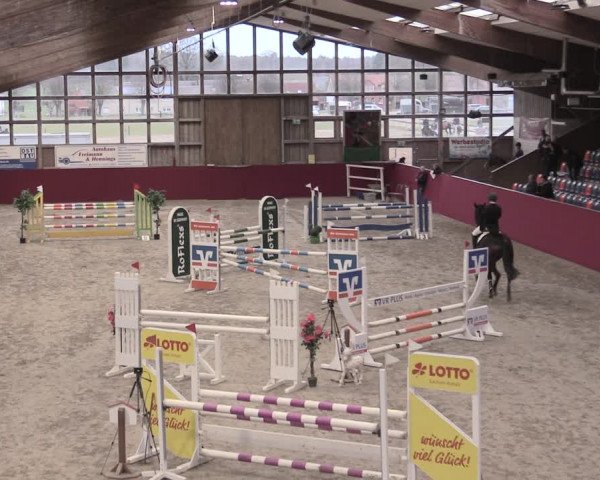 Reitturnier Krumke 2023
