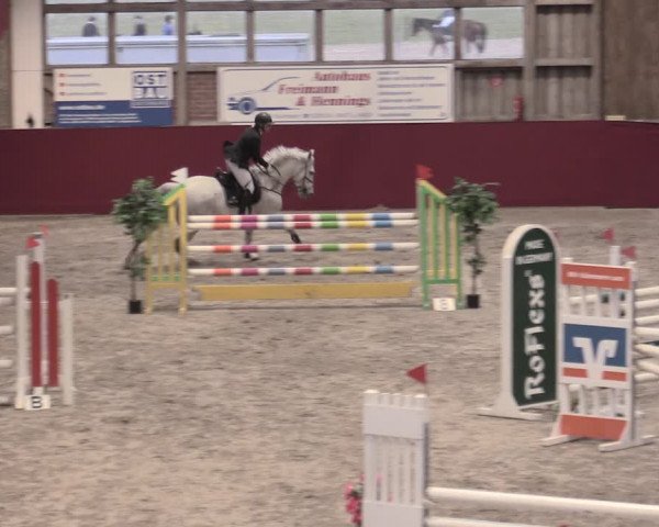 Reitturnier Krumke 2023