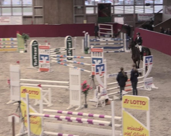 Reitturnier Krumke 2023